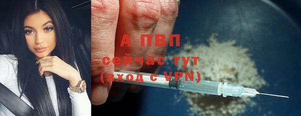 прущие грибы Баксан
