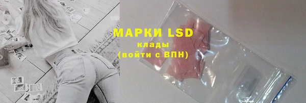 прущие грибы Баксан
