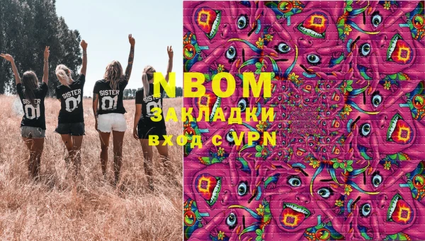 прущие грибы Баксан