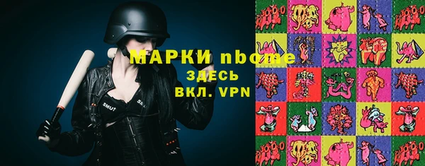 прущие грибы Баксан