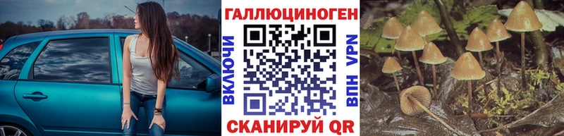 omg зеркало Городовиковск Псилоцибиновые грибы мицелий дарнет шоп